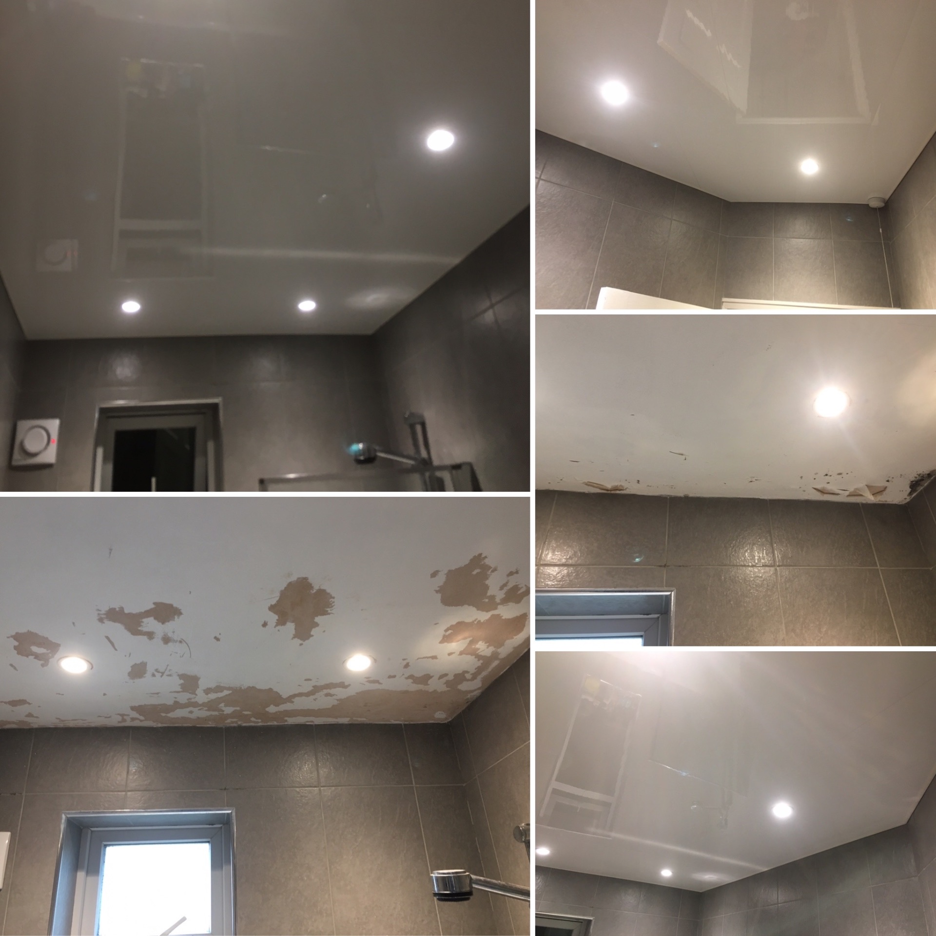 Bathroom Ceiling Repair