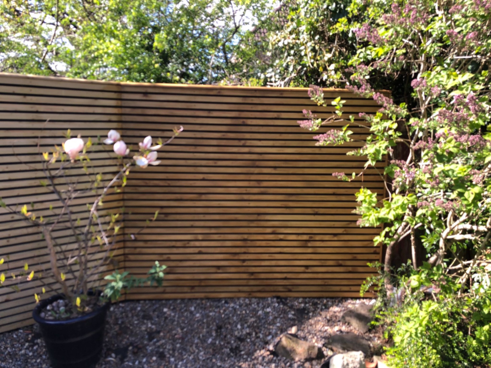 Contemporary Slatted Fencing
